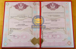 Бакалавр 2009 - 2026 с отличием